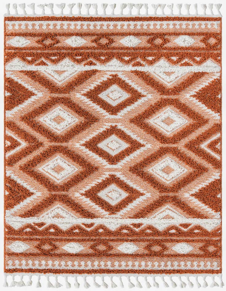 Detail image of 4' x 6' Boho Rug