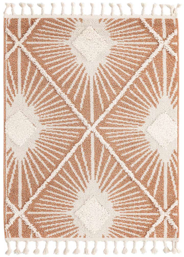 3' 3 x 5' 3 Boho Rug