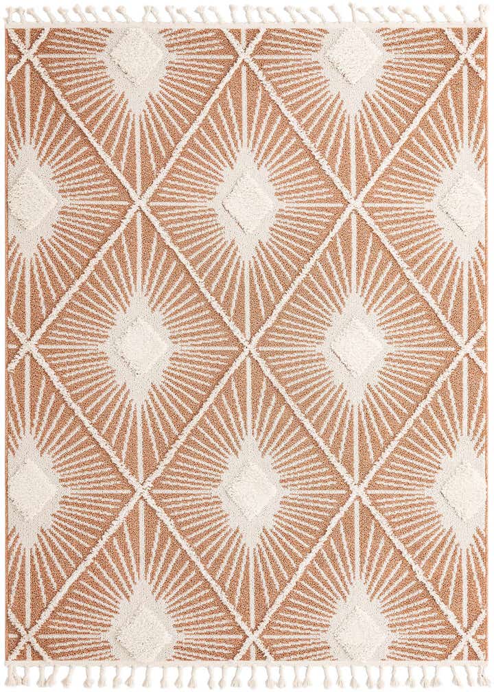 6' x 9' Boho Rug