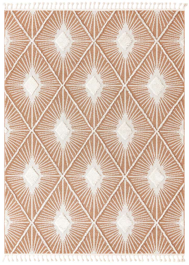 7' 10 x 11' Boho Rug