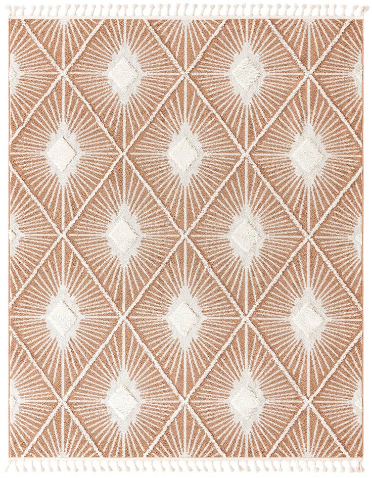 Detail image of 7' 10 x 11' Boho Rug