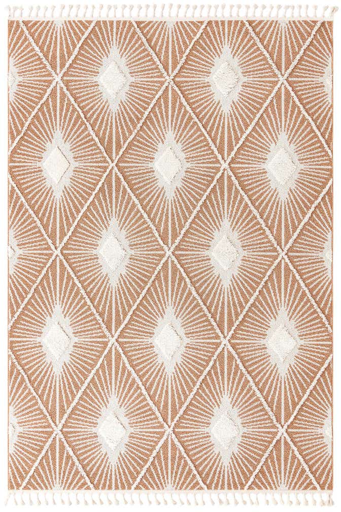 7' 10 x 11' Boho Rug