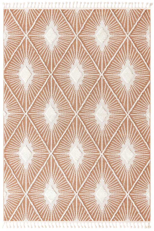 Detail image of 7' 10 x 11' Boho Rug