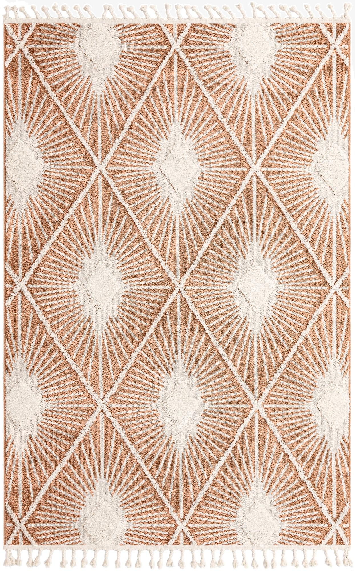 Primary image 6' x 9' Boho Rug