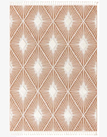 7' 10 x 11' Boho Rug