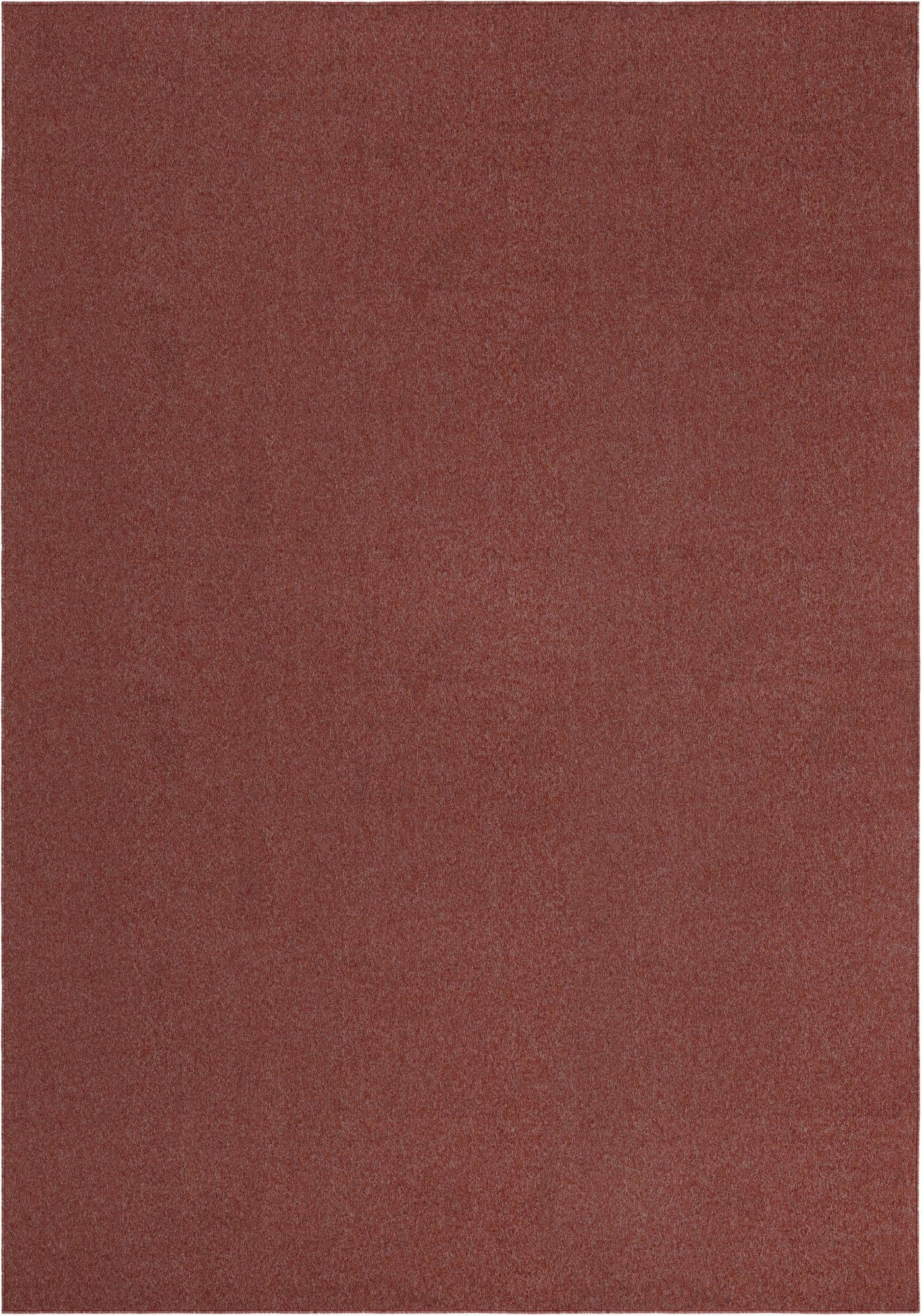 9' 10 x 14' Everyday Solid Rug