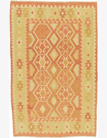 3' 9 x 5' 9 Hand Woven Kilim Waziri Wool Rug