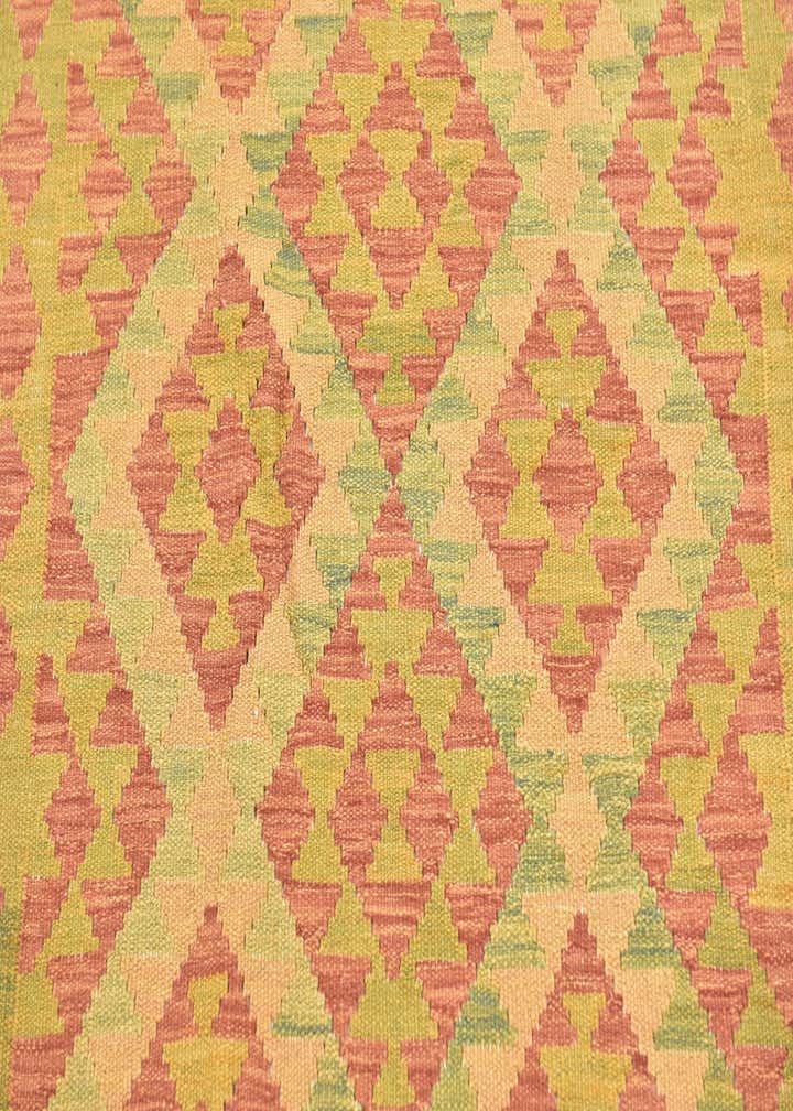 3' x 5' 2 Hand Woven Kilim Waziri Wool Rug