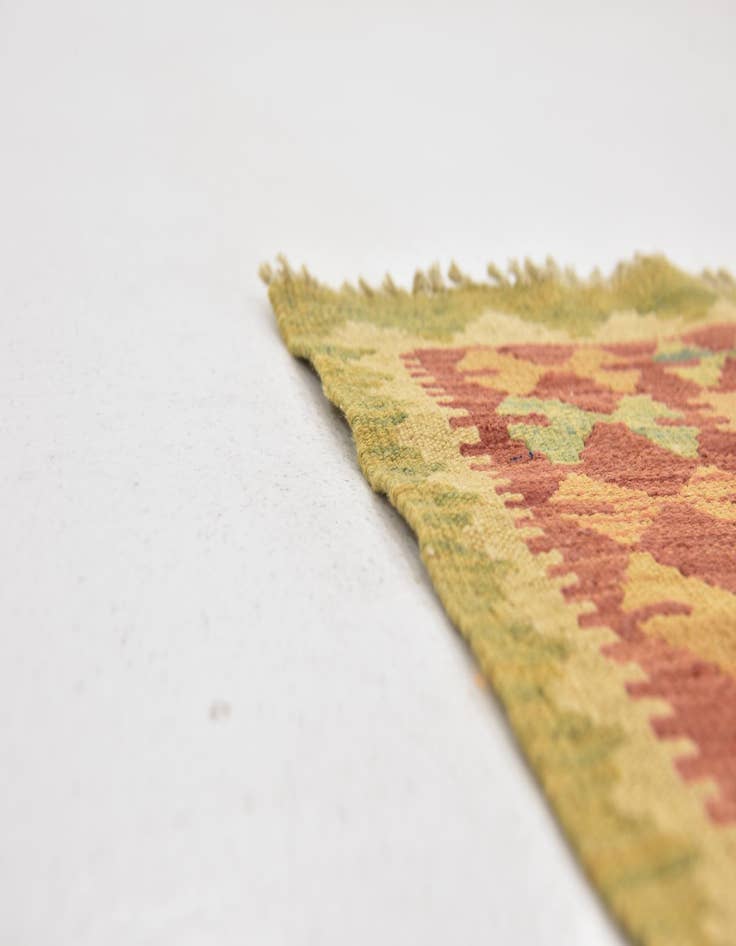 Detail image of 2' 8 x 4' 9  Hand Woven Kilim Waziri Wool Rug