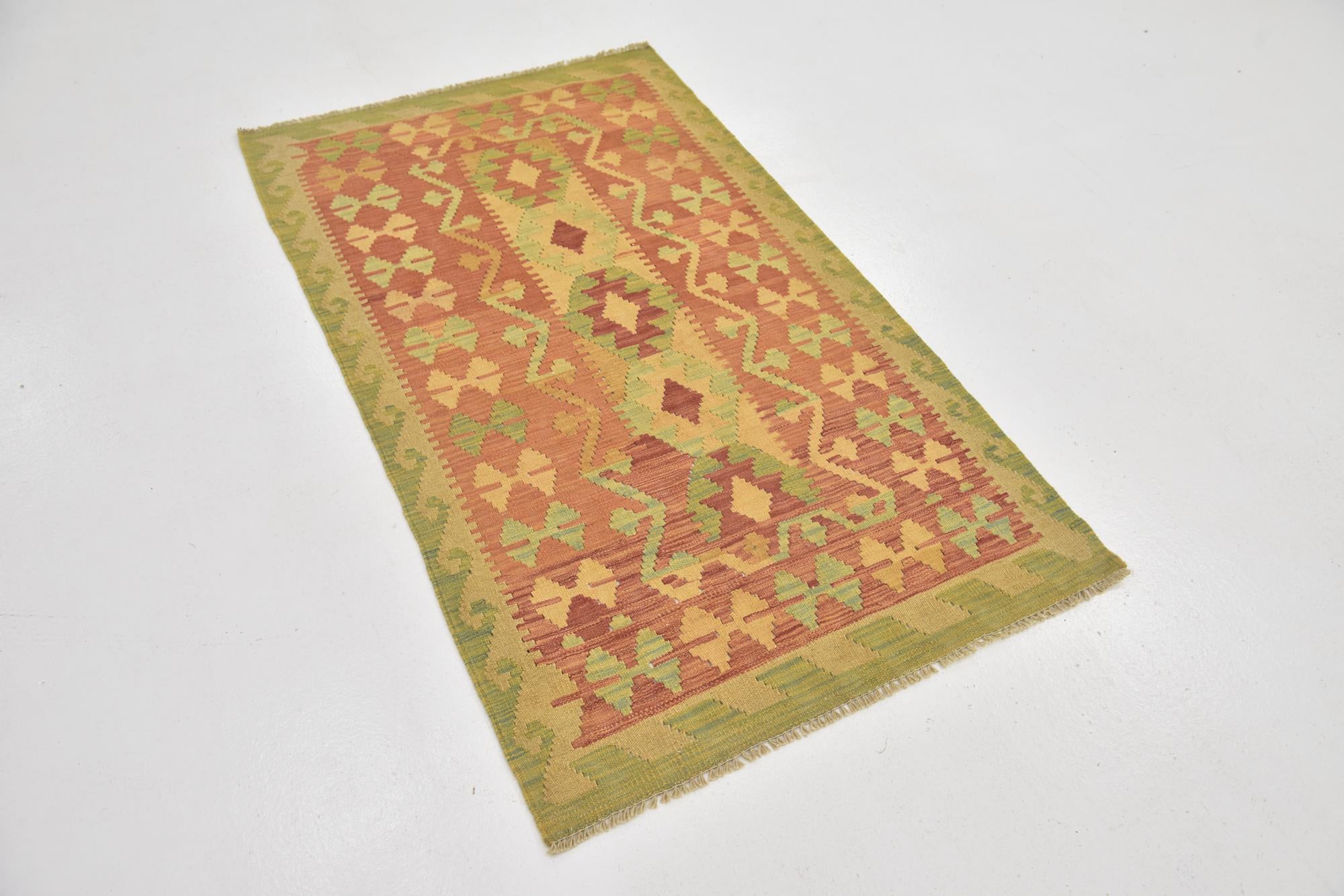 2' 8 x 4' 8 Hand Woven Kilim Waziri Wool Rug
