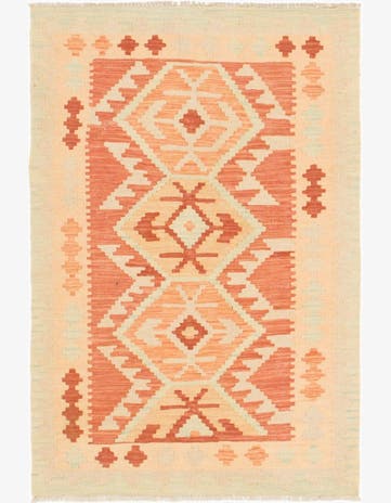 2' 9 x 4' 2 Hand Woven Kilim Waziri Wool Rug