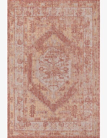 Rust Red Easy-Clean Traditional Indoor / Outdoor Rug
