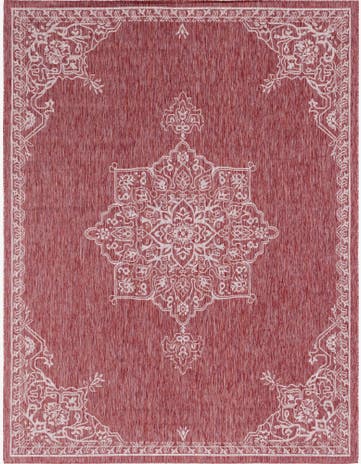 Rust Red Easy-Clean Traditional Indoor / Outdoor Rug