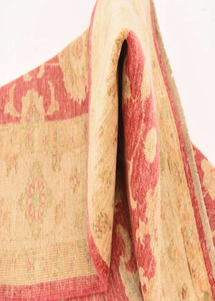 4' 2 x 5' 6 Hand Knotted Peshawar Ziegler Rug