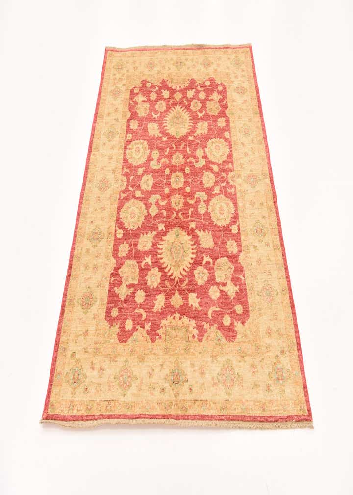 4' 2 x 5' 6 Hand Knotted Peshawar Ziegler Rug