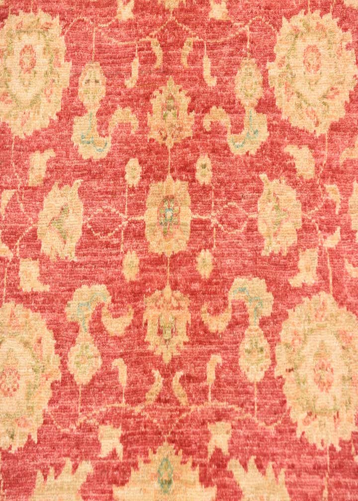 4' 2 x 5' 6 Hand Knotted Peshawar Ziegler Rug