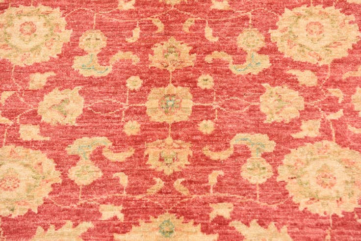 Detail image of 4' 2 x 5' 6 Hand Knotted Peshawar Ziegler Rug