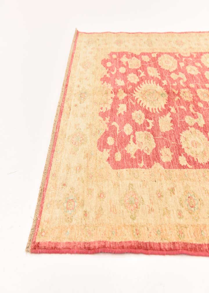 4' 2 x 5' 6 Hand Knotted Peshawar Ziegler Rug