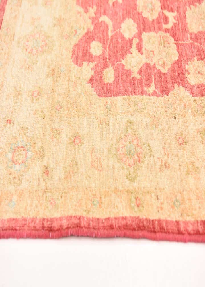 4' 2 x 5' 6 Hand Knotted Peshawar Ziegler Rug