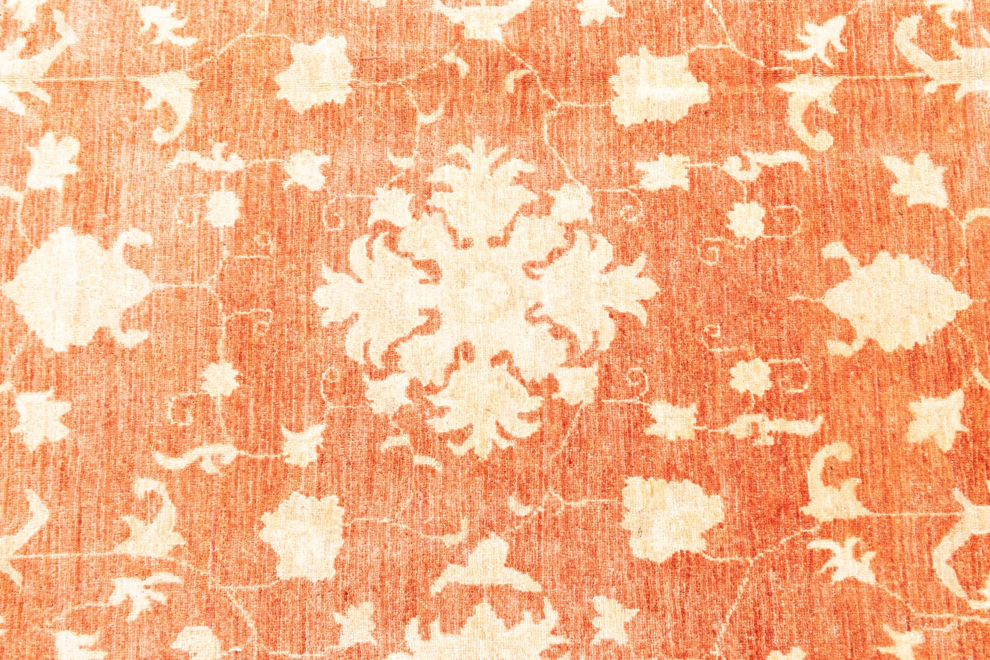 8' x 11' 8 Hand Knotted Peshawar Ziegler Oriental Rug