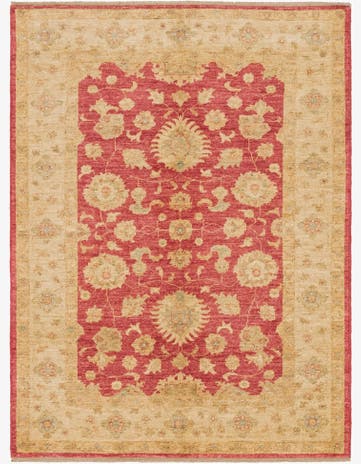 4' 2 x 5' 6 Hand Knotted Peshawar Ziegler Rug