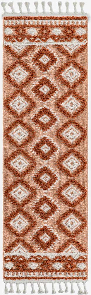 2' x 6' Boho Runner Rug