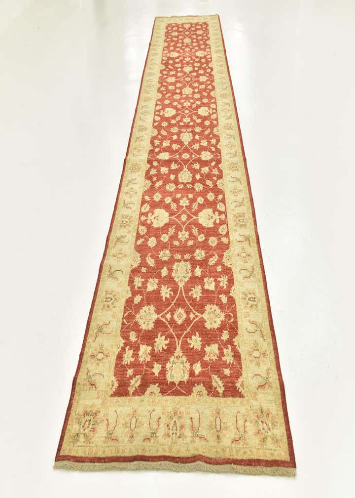 4' x 15' 10 Hand Knotted Peshawar Ziegler Wool Runner Rug