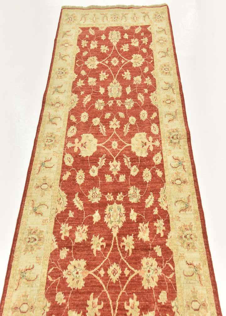 4' x 15' 10 Hand Knotted Peshawar Ziegler Wool Runner Rug