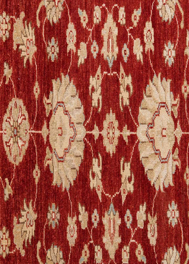 3' x 19' Hand Knotted Peshawar Ziegler Runner Rug