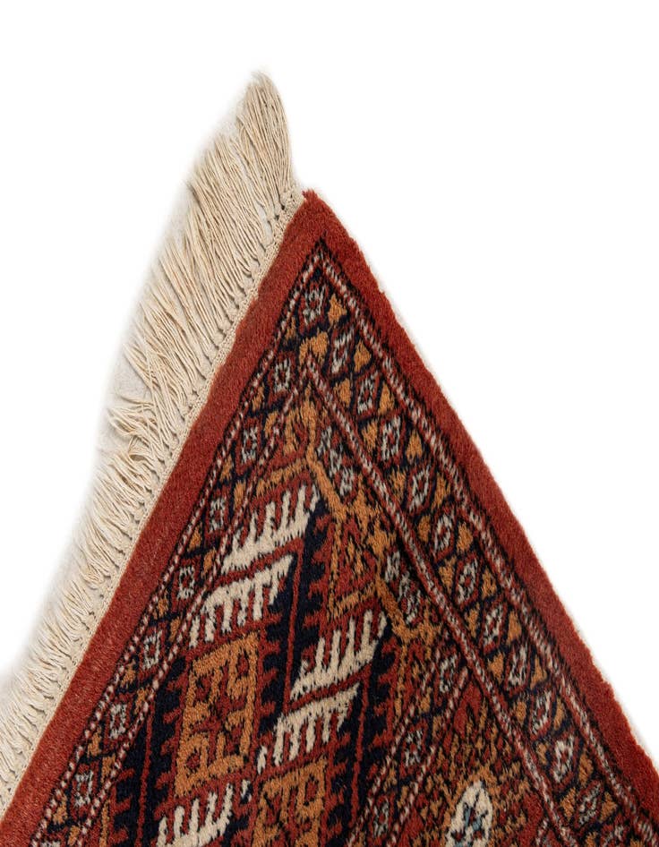 Detail image of 2' 7 x 10' 10  Hand Knotted Torkaman Wool Runner Rug