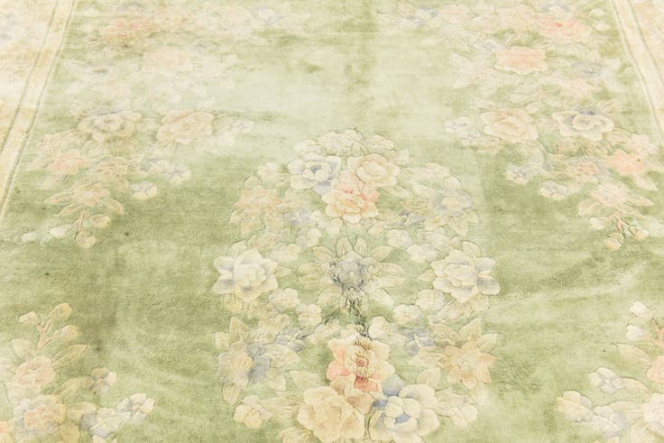 Detail image of 170cm x 225cm Hand Knotted Carved Pekin Rug