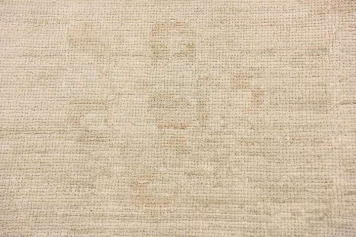8' 8 x 11' 7 Hand Knotted Peshawar Ziegler Wool Rug