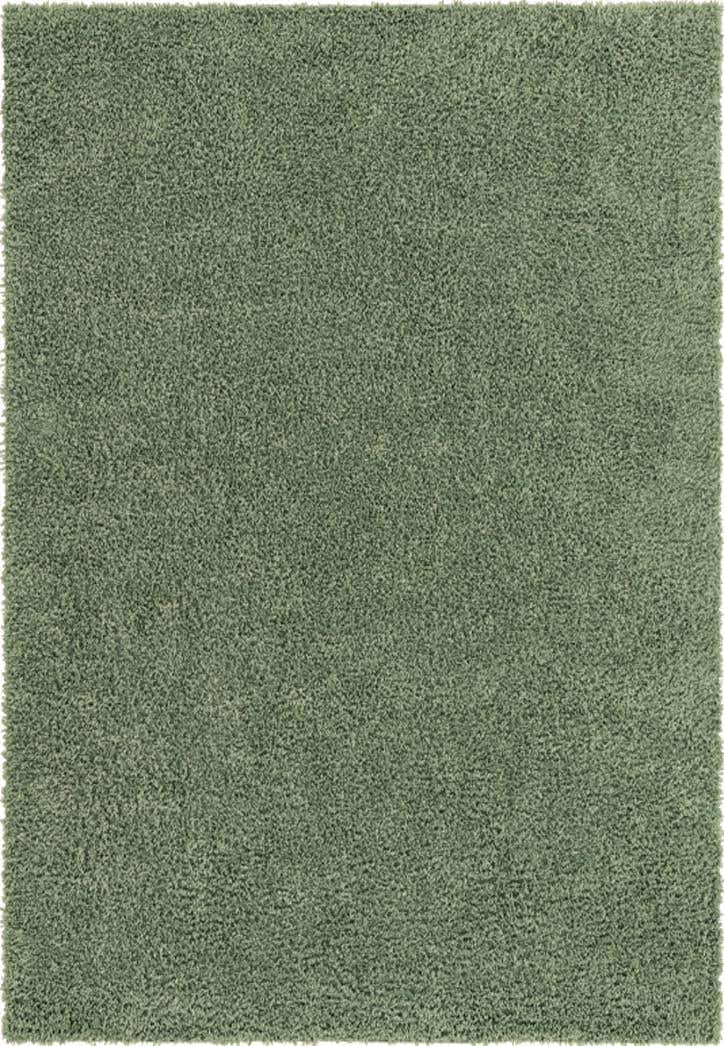 2' x 3' Zermatt Shag Rug