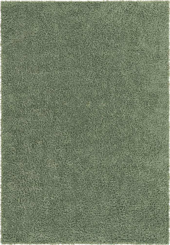 2' x 3' Zermatt Shag Rug