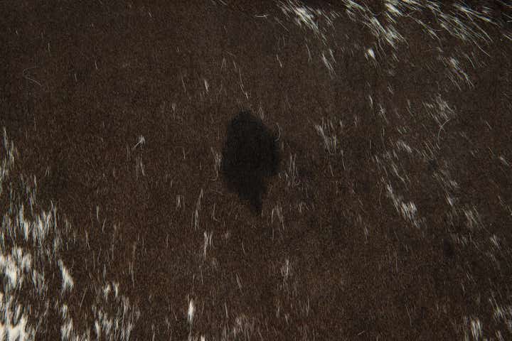 5' 7 x 6' 5 Cowhide Leather Rug
