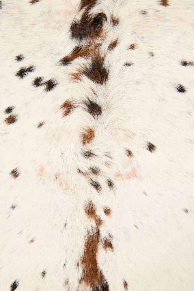 5' 1 x 6' 2 Cowhide Leather Square Rug