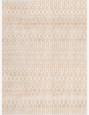 10' x 13' Bohemian Trellis Rug