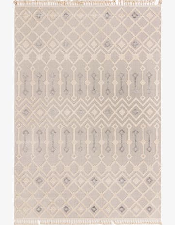 9' 10 x 14' Arlo Rug