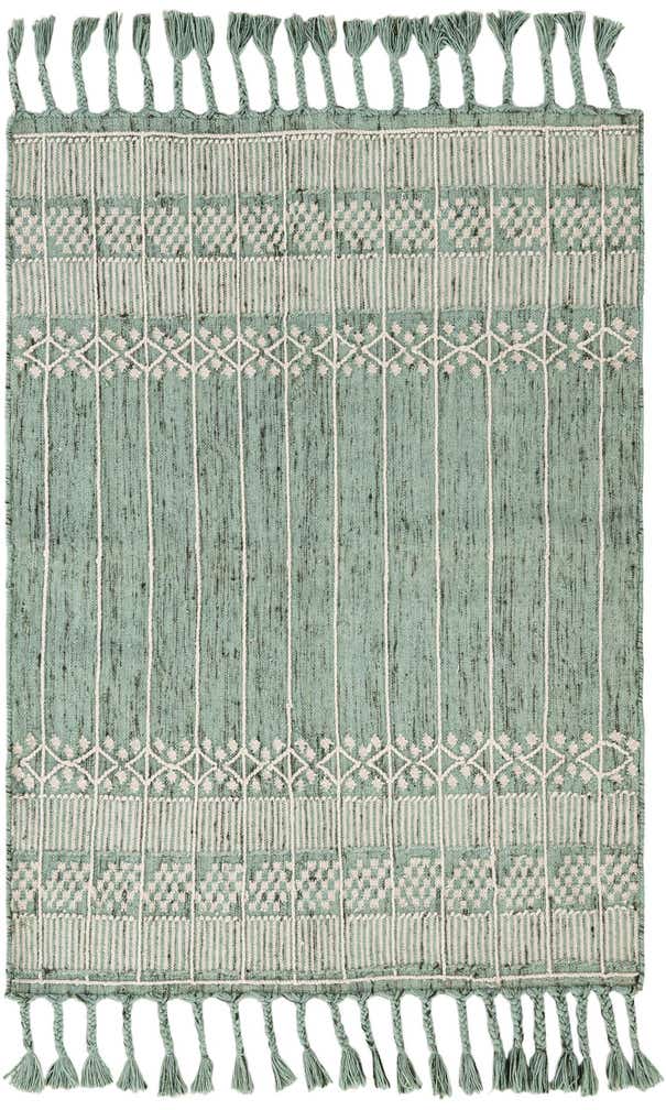 4' 1 x 6' 1 Easy-Clean Eco Bohemian Indoor / Outdoor Rug