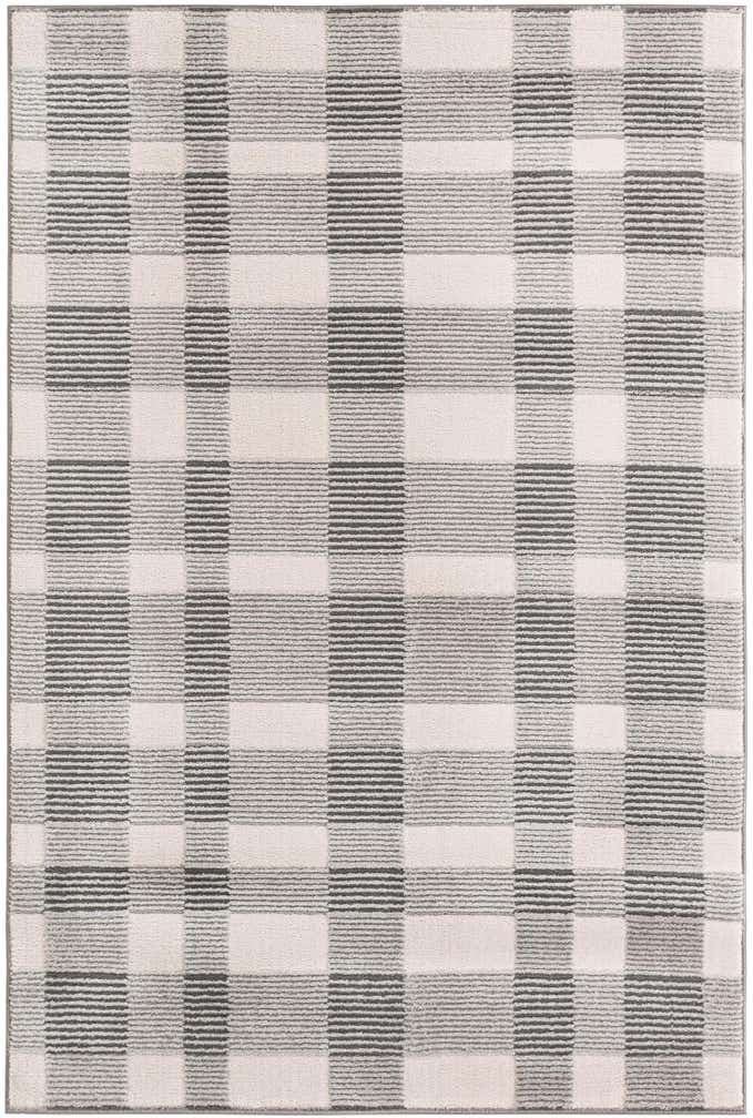 4' x 6' Textura Designer Rug