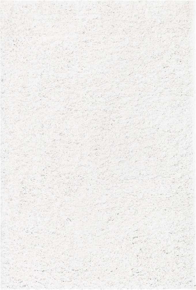 4' x 6' Everyday Shag Rug