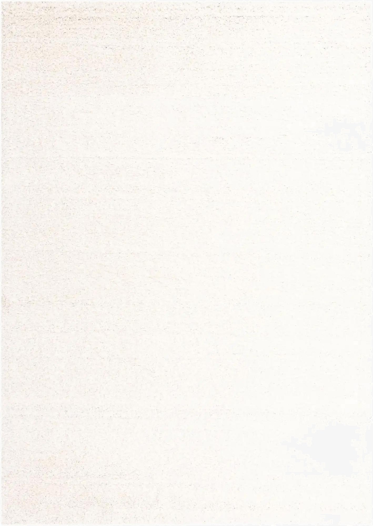 10' x 14' Solid Shag Rug