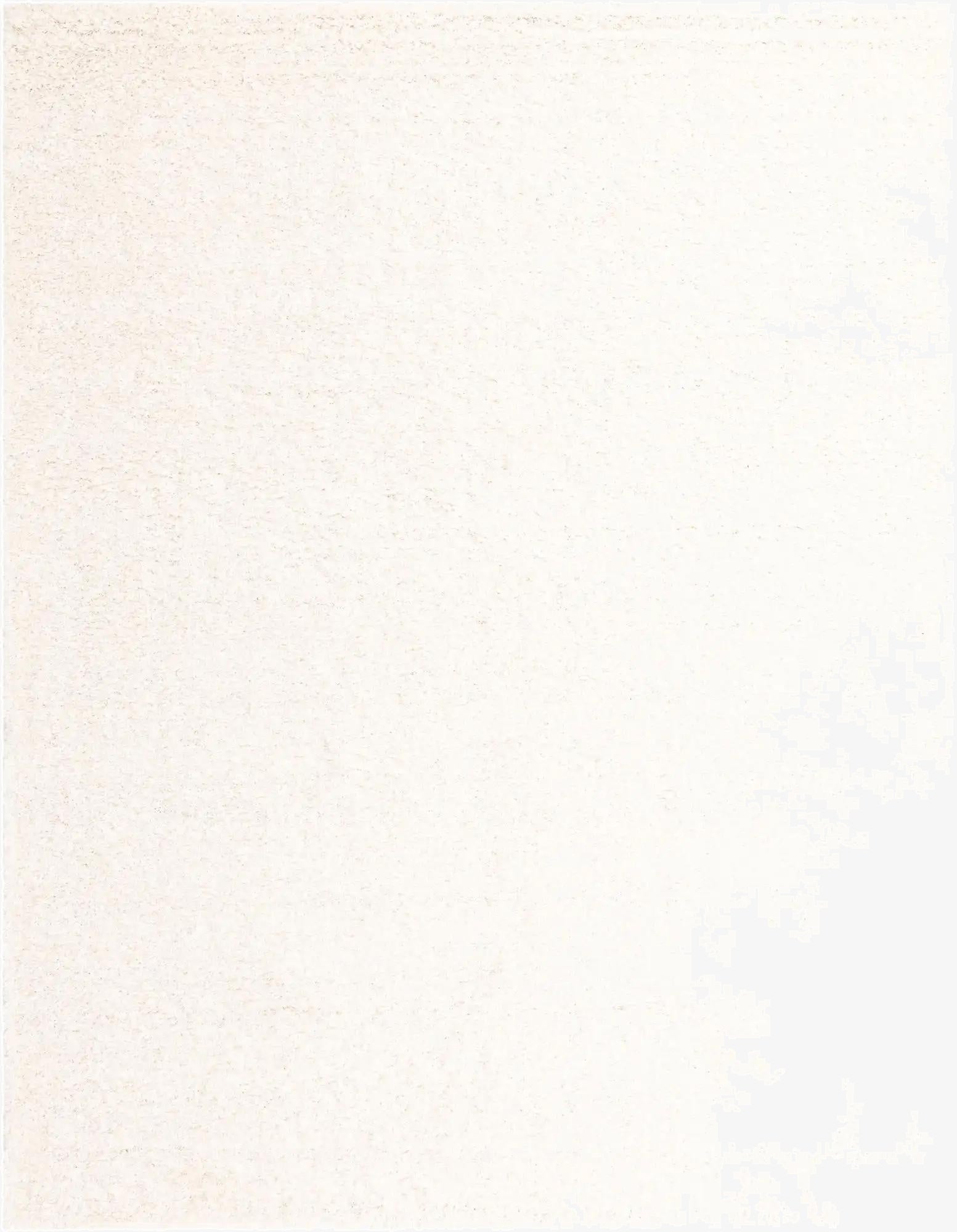 Primary image 10' x 13' Solid Shag Rug