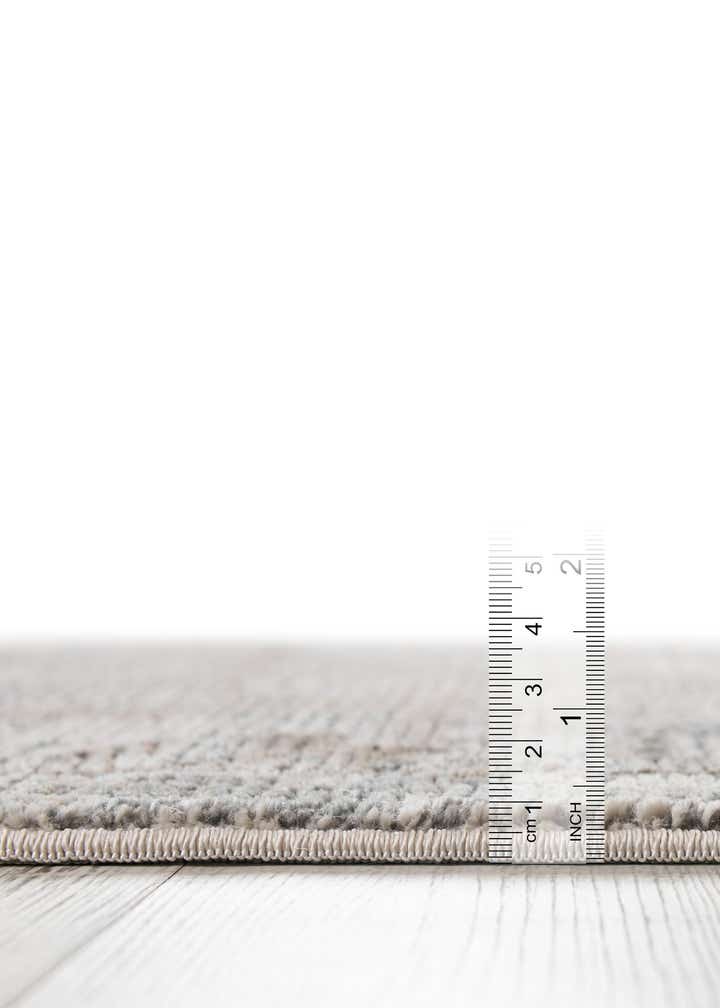 4' x 6' Silta Rug