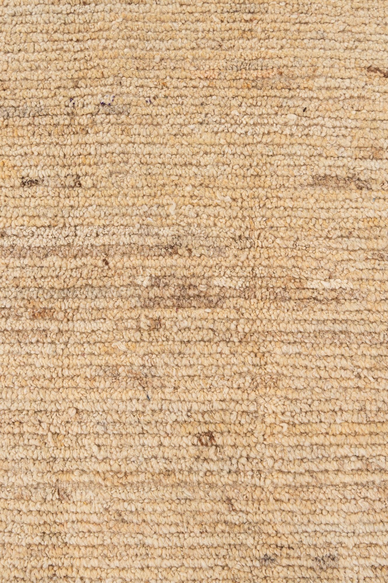 8' 11 x 12' 4 Hand Knotted Darya Wool Rug
