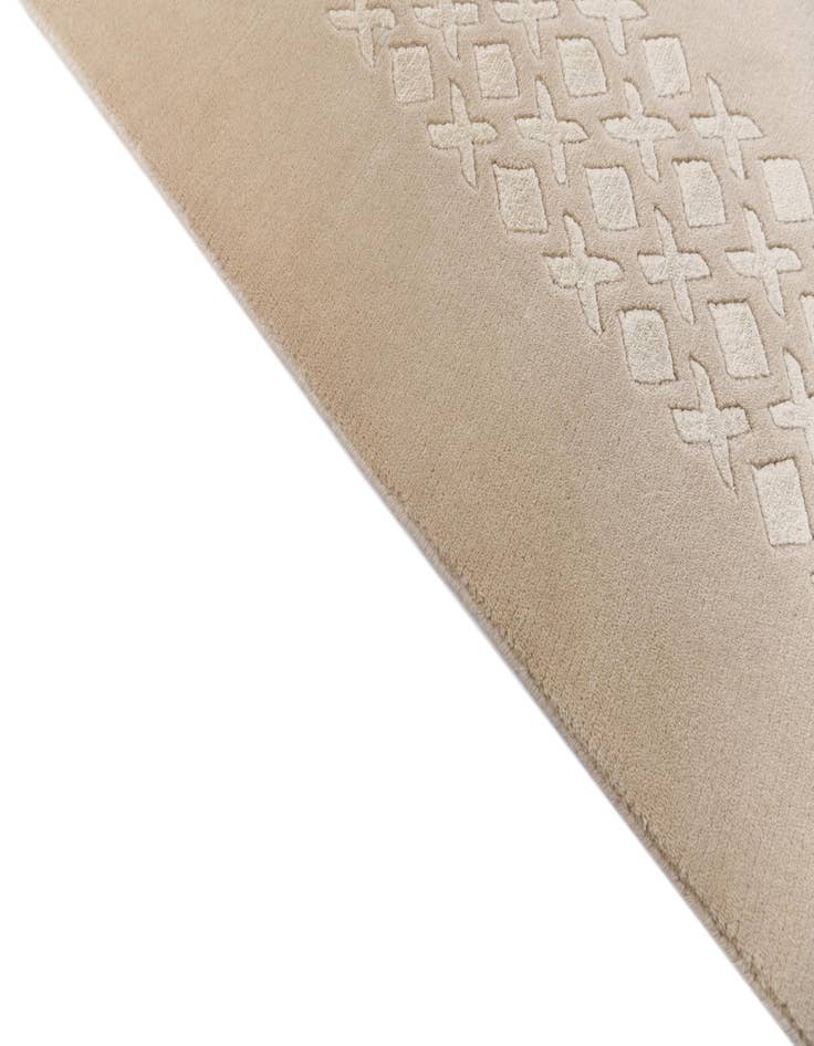 Detail image of 6' 7 x 9' 11  Hand Knotted Darya Wool Rug