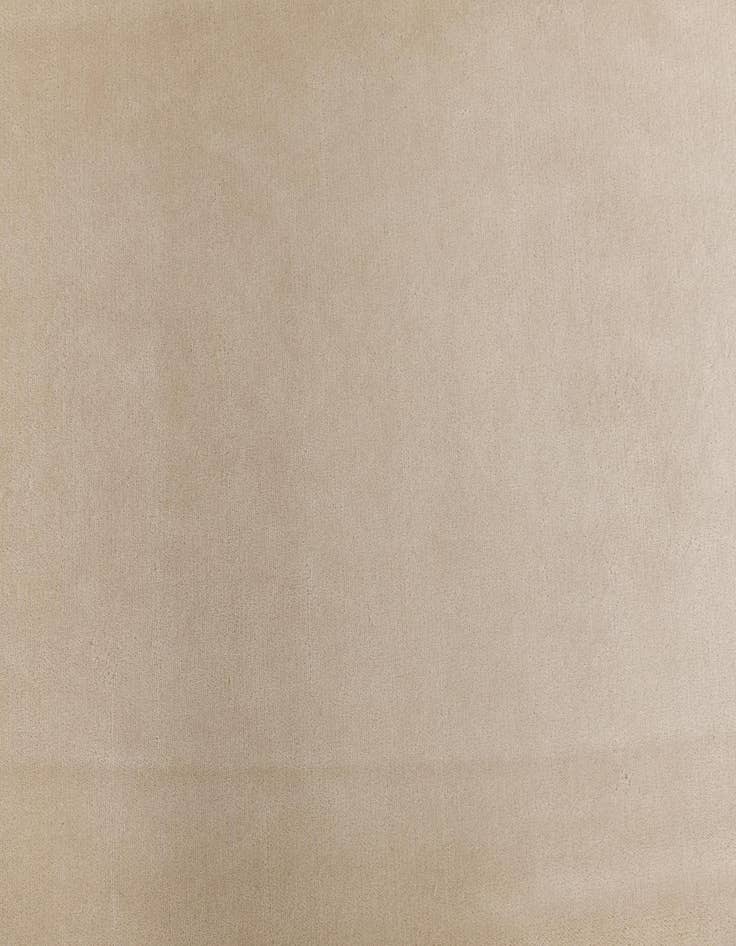 Detail image of 6' 7 x 9' 11  Hand Knotted Darya Wool Rug