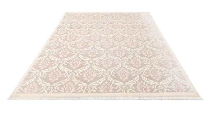 6' 9 x 10' Hand Knotted Darya Wool Rug