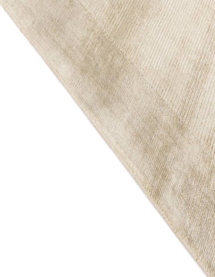 Detail image of 2' 8 x 5' 1 Hand Knotted Darya Wool Rug