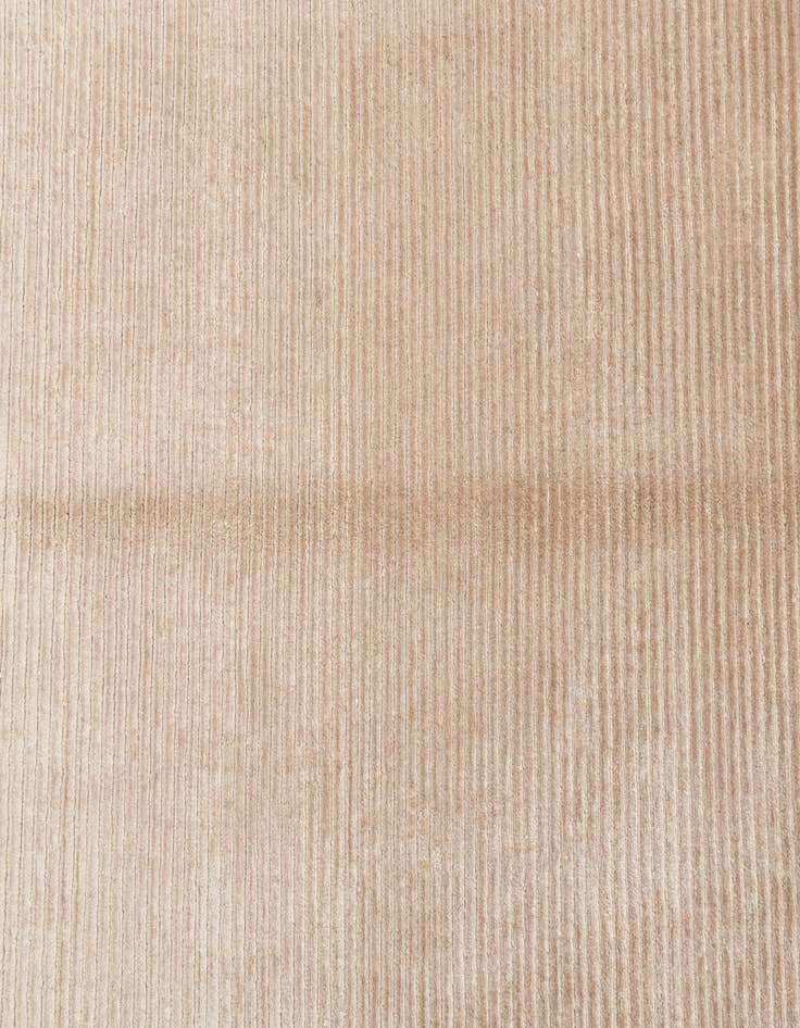 Detail image of 4' 10 x 6' 7  Hand Knotted Darya Wool Rug